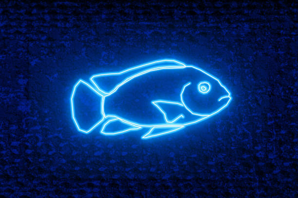 Blue neon fish. On the wall is a bright glowing neon silhouette of a fish. Signboard of a fish store. Signboard, advertisement, banner. Blue neon fish. On the wall is a bright glowing neon silhouette of a fish. Signboard of a fish store. Signboard, advertisement, banner. cichlid stock pictures, royalty-free photos & images