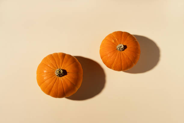 istock Creative autumn composition. Pumpkins on pastel beige background. 1341673384