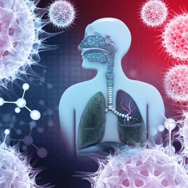 istock Lungs infection with a group of virus. 3d illustration 1341673746