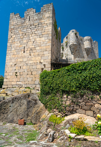 with the castle and a blue sky as background. Valladolid, Spain. 