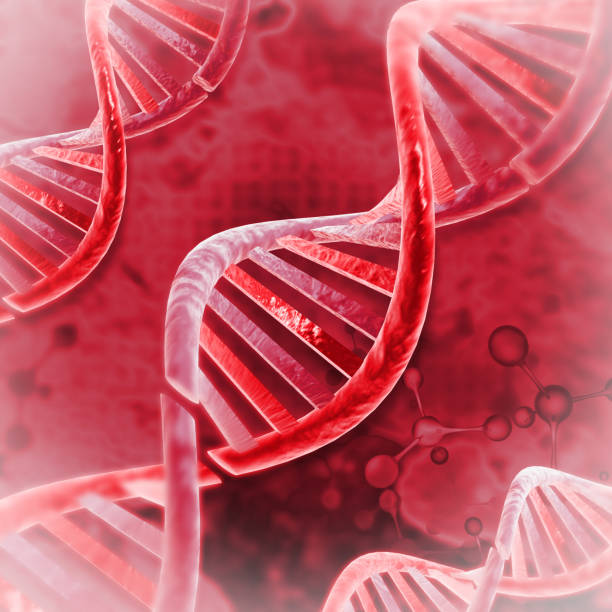 istock Double helix DNA strands on scientific background. 3d illustration 1341674932