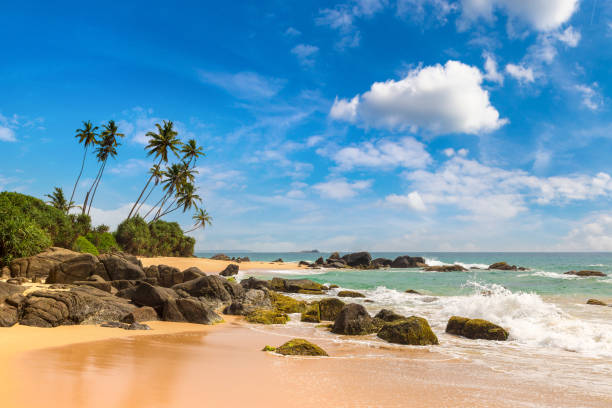 istock Ambalangoda Beach  in Sri Lanka 1341678071