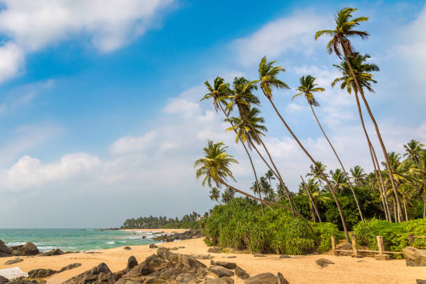 istock Ambalangoda Beach  in Sri Lanka 1341678197