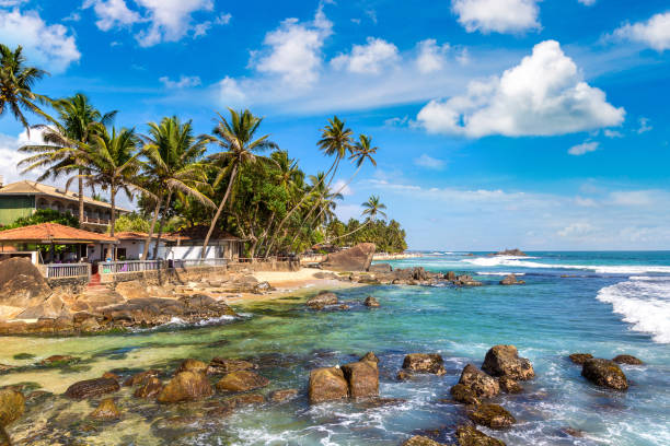 istock Dalawella Beach in  Sri Lanka 1341678219
