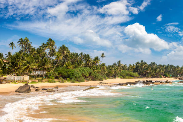 istock Dalawella Beach in  Sri Lanka 1341678277