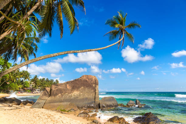 istock Dalawella Beach in  Sri Lanka 1341678297