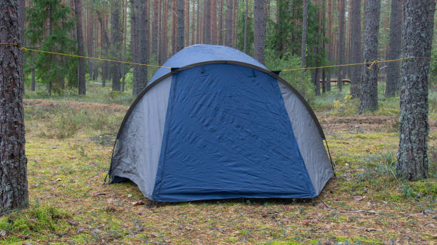 blue tourist tent stands in the forest stock photo