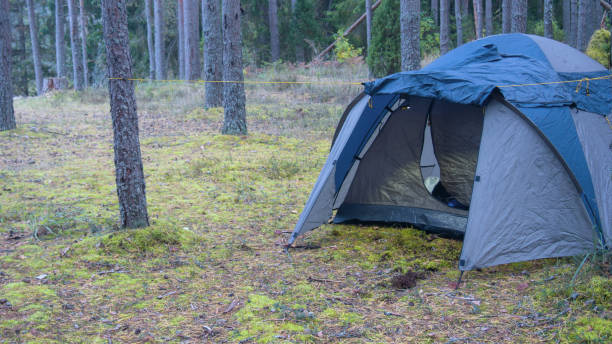 istock blue tourist tent stands in the forest 1341679282