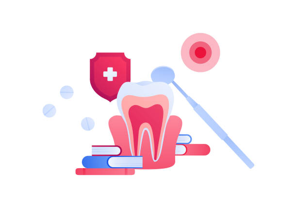 Libros De Odontologia Vectores Libres de Derechos - iStock Libros De Odontologia Vectores Libres de Derechos - iStock