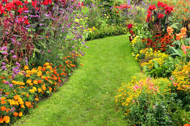 ogród kwiatowy latem - garden path lawn formal garden flower bed zdjęcia i obrazy z banku zdjęć