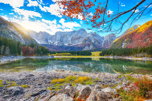 Autumn forest on Hintersee lake, Berchtesgaden, Germany.