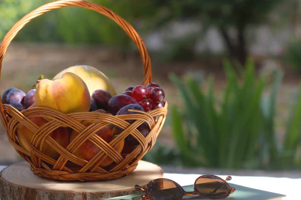 istock Picnic Basket, Book and Sunglasses 1341684919