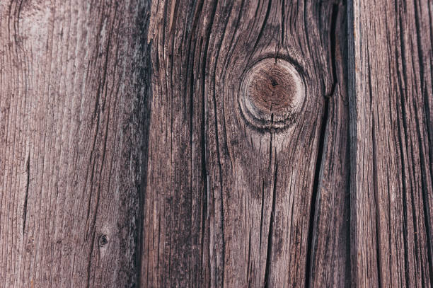 istock wood texture background, top view wooden board 1341686523