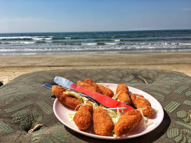 comendo peixe frito em uma praia com vista para o mar - goa beach india green - fotografias e filmes do acervo