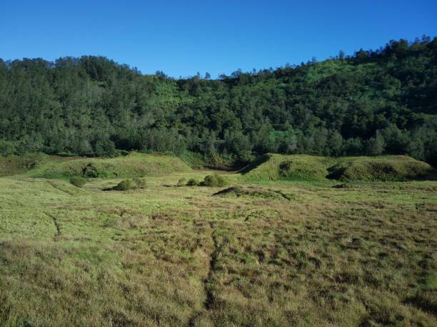 istock Pangonan's savanna spreads out 1341688029