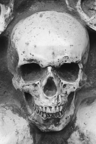 istock Artificial human skull close-up as background for congratulations to Halloween 1341688405