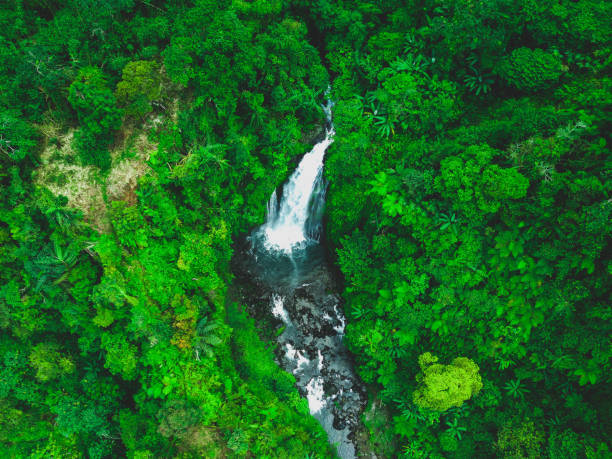 istock Top view of Gomblang Waterfall located in Kedungbanteng District, Banyumas Regency, Central Java Province, Indonesia. 1341690922