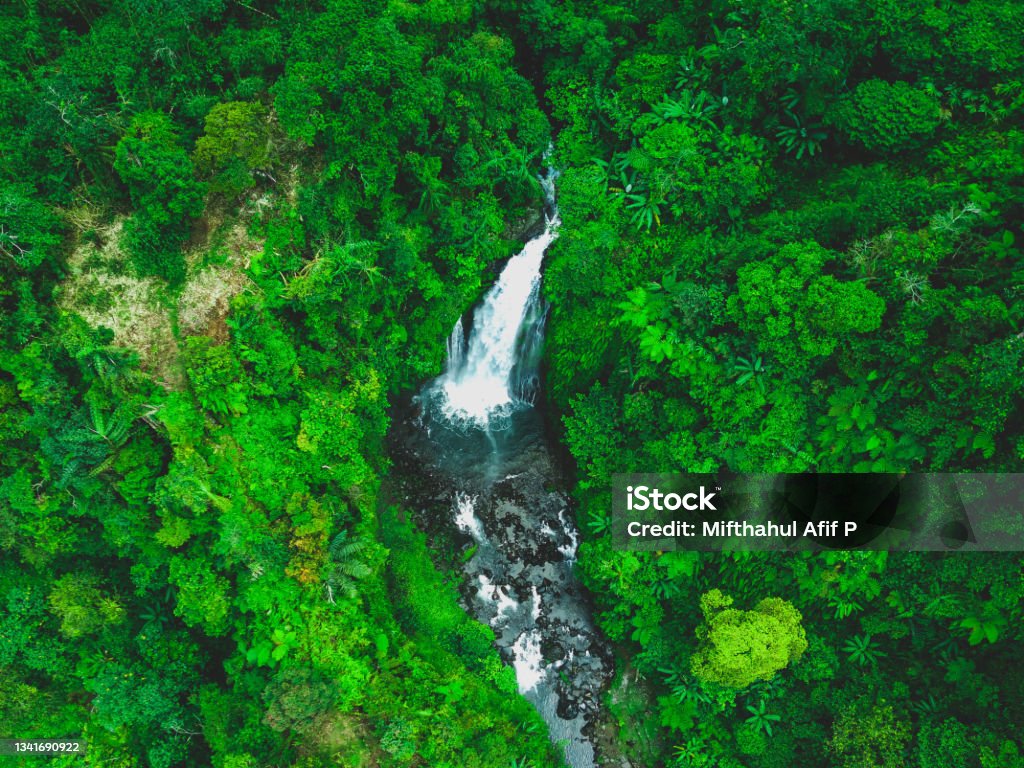Top view of Gomblang Waterfall located in Kedungbanteng District, Banyumas Regency, Central Java Province, Indonesia. Top view of Gomblang Waterfall located in Kedungbanteng District, Banyumas Regency, Central Java Province, Indonesia.

The beautiful green scenery spoils the eyes. Beauty Stock Photo