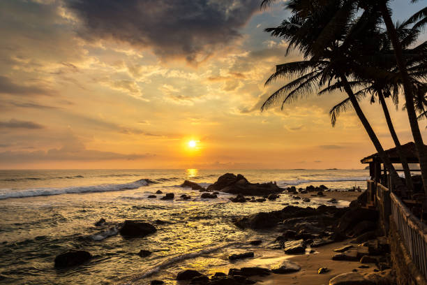 istock Dalawella beach in Sri Lanka 1341697017