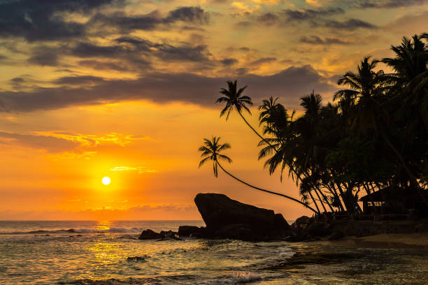 istock Dalawella beach in Sri Lanka 1341697029