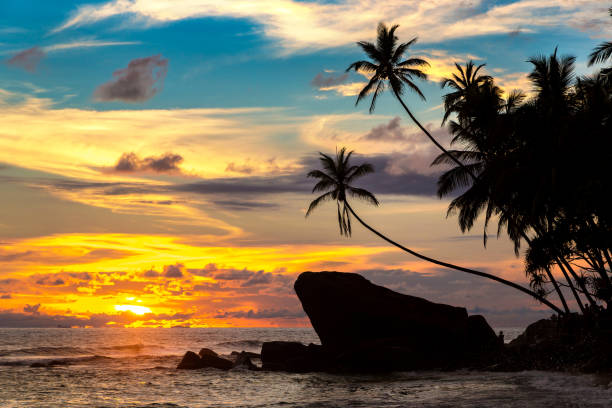 istock Dalawella beach in Sri Lanka 1341697060