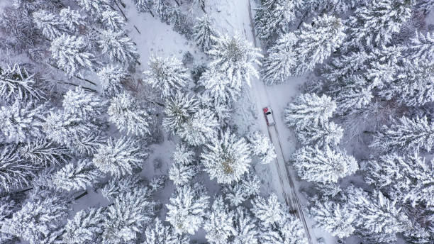 istock Car driving on winter country road 1341699807
