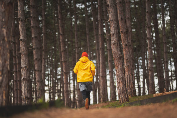 istock Man jogging in the park on a cloudy autumn day 1341702091