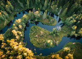 The river in the forest in the form of Yin and Yang loops. Lindulovskaya grove on the Karelian isthmus, top view from a drone at fall day