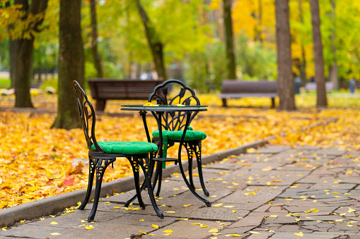 Autumn park with fallen yellow leaves. A place to relax with a cup of hot coffee.
