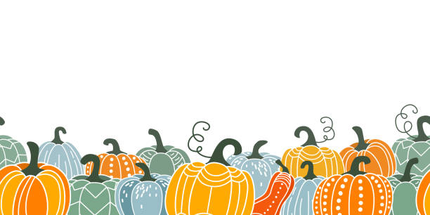 dynia bezszwowa ilustracja wektorowa obramowania w płaskim naiwnym prostym nowoczesnym stylu. jesienna ozdobna tykwa na święto dziękczynienia, halloween, wzór zbiorów izolowany na białym tle - thanksgiving stock illustrations