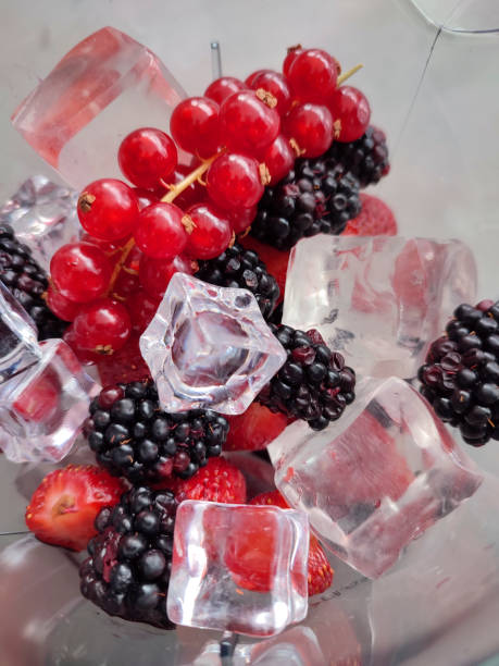 Ice covered Winterberry