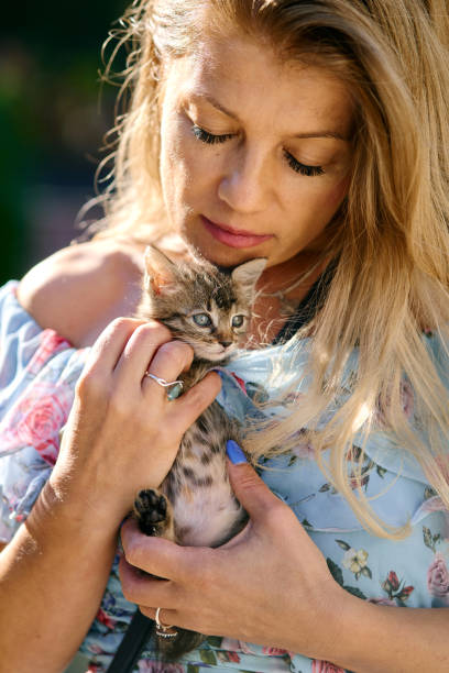 istock Woman holding her little kitten 1341705956