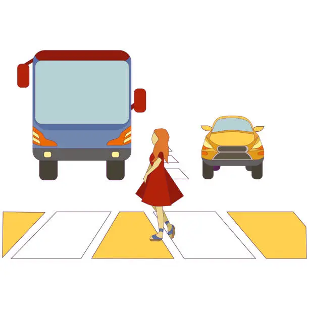 Vector illustration of Female pedestrian and public transport and a car crossing the road on white isolated background, vector woman on crossroad, concept of Road Traffic and Urban life, Pedestrians and Automobiles.