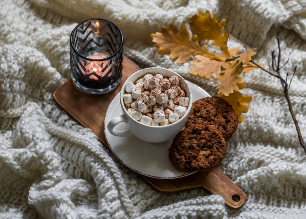 istock Pumpkin spices hot chocolate with marshmallows and cookies with chocolate drops on a knitted blanket. Autumn still life 1341706507