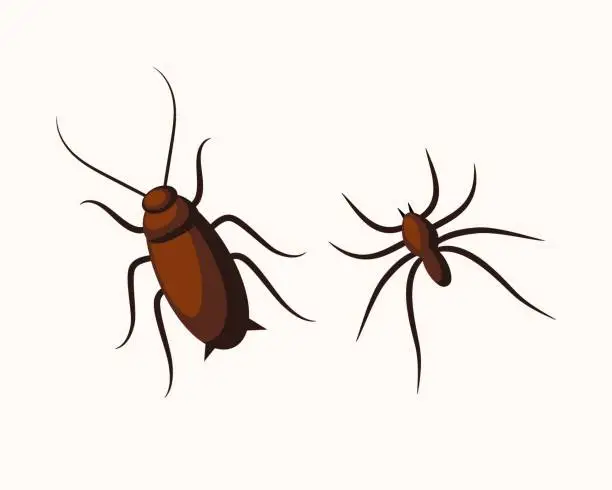 Vector illustration of Insects. Cockroach and spider. Vector illustration for halloween.