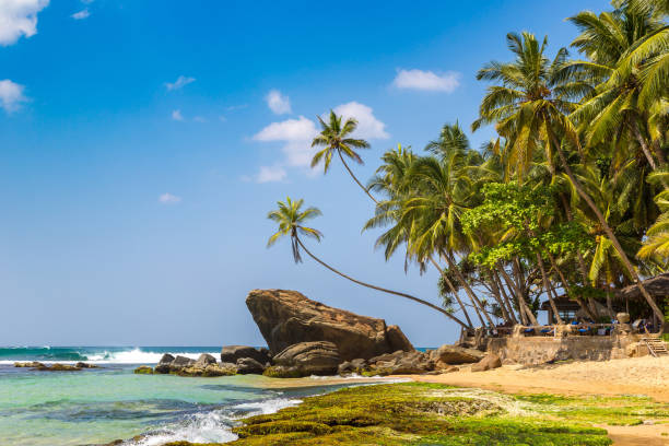 istock Dalawella Beach in  Sri Lanka 1341708761