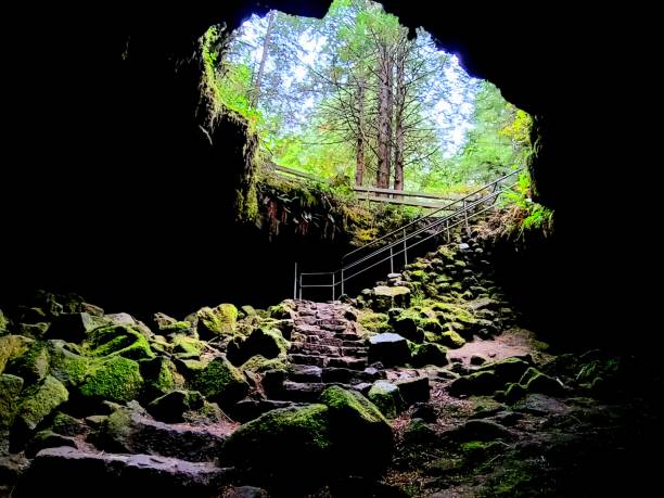 Ape Cave The Pacific Northwest is known for its many wonders, but none is as fascinating as Ape Cave. The deep cave is 6 miles in length! mount st helens stock pictures, royalty-free photos & images