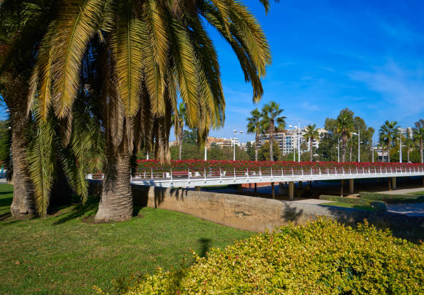 istock Valencia Puente de las Flores flowers bridge 1341714579