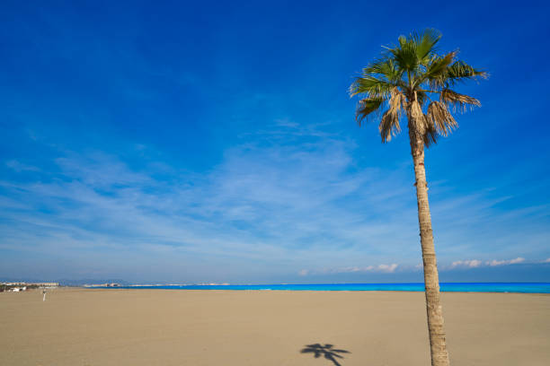istock Valencia La Malvarrosa beach arenas Spain 1341714706