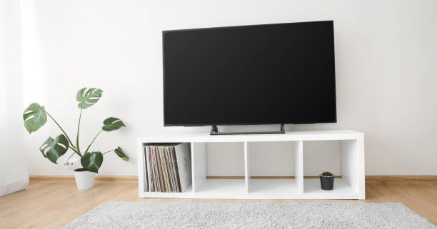 istock Cozy home interior with TV and monstera palm 1341714761