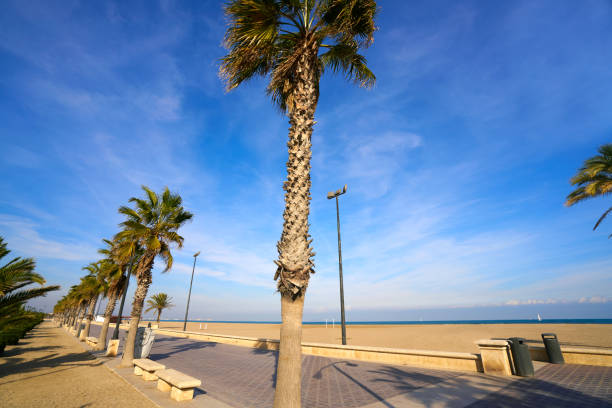 istock Valencia La Malvarrosa beach arenas Spain 1341715419