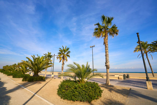 istock Valencia La Malvarrosa beach arenas Spain 1341715432