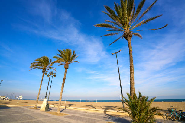 istock Valencia La Malvarrosa beach arenas Spain 1341715466