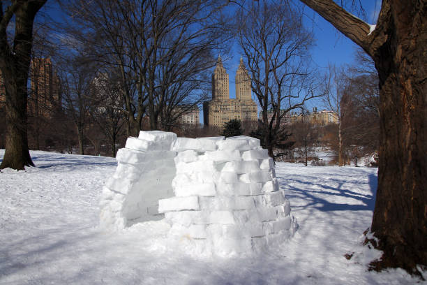 뉴욕시 센트럴 파크에서 얼음 벽돌로 만든 이글루 - ice sculpture built structure snow ice 뉴스 사진 이미지