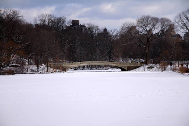 istock The bow bridge over the snow covered pond with a dramatic sky in Central Park 1341715983