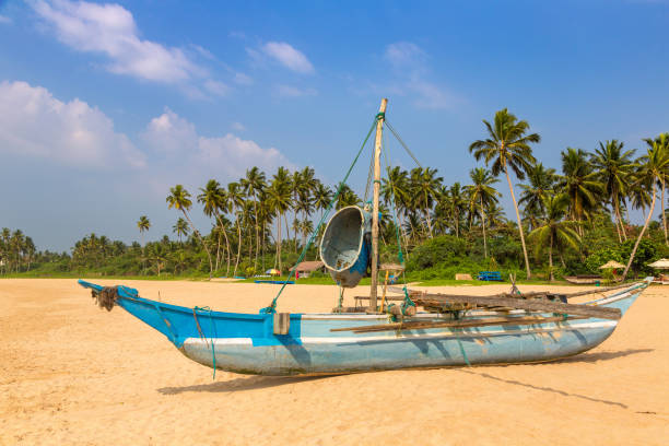 istock Fishing boat  in Sri Lanka 1341718570