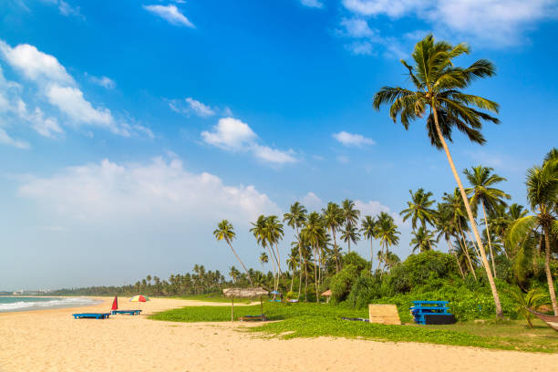 istock Shinagawa Beach in Sri Lanka 1341719768