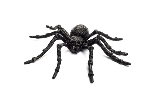 Black rubber spider toy isolated on a white background. Black spider toy.