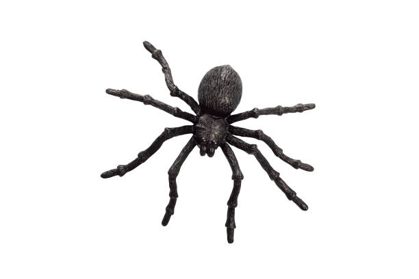 istock Black rubber spider toy isolated on a white background. Black spider toy. 1341721597