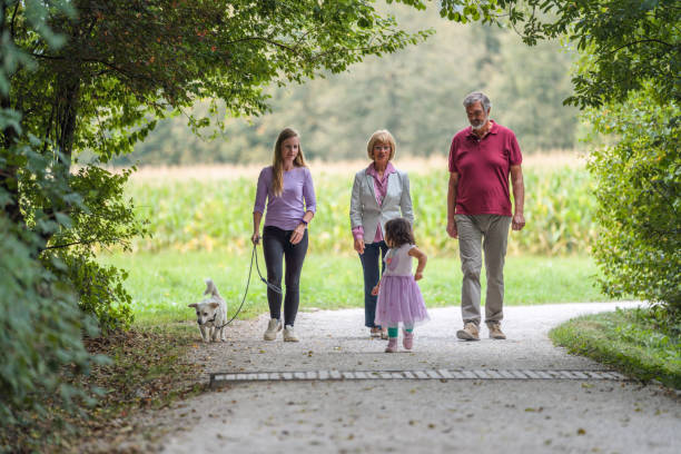 istock Multi Generation Family Spending Quality Time in a Public Park 1341723384